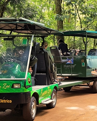 THE BEST Maringa Tours & Excursions for 2023 (with Prices)