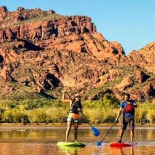 Phoenix & Scottsdale: Saguaro Lake Stand Up Paddleboard Tour