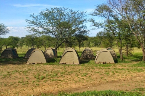 3 Day Safari in Lake Manyara, Ngorongoro, and Tarangire Arusha: 3-Day Lake Manyara, Ngorongoro, and Tarangire Safari