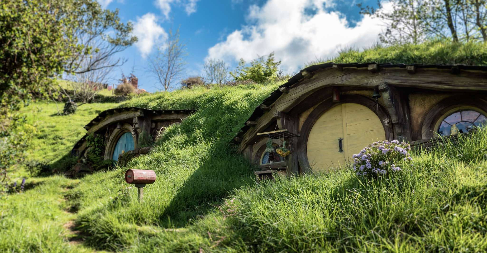 De Auckland, visite de l'après-midi de Hobbiton - Hizvo