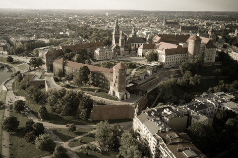 Cracovia: Tour guidato del Castello di WawelTour in inglese