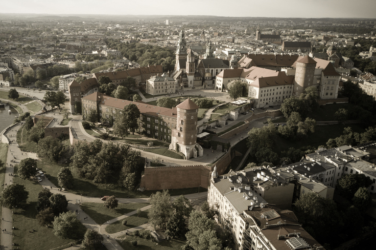 Cracovia: Tour guidato del Castello di WawelTour in inglese