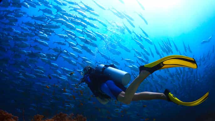 ko tao try scuba diving 1day experience