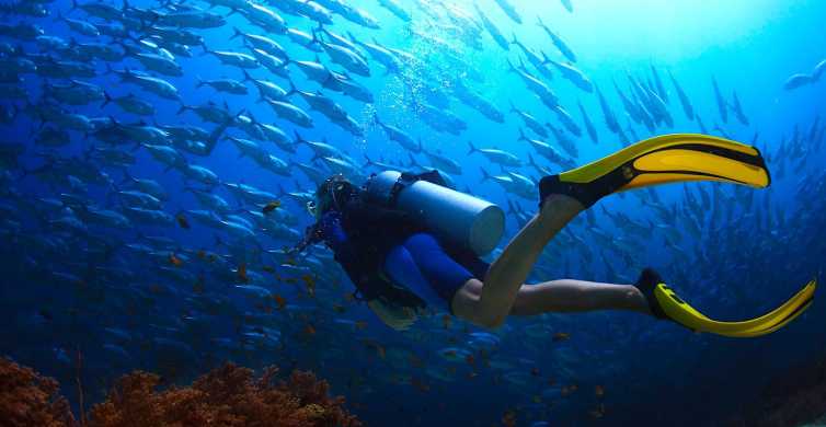 Ko Tao Try Scuba Diving 1 Day Experience GetYourGuide