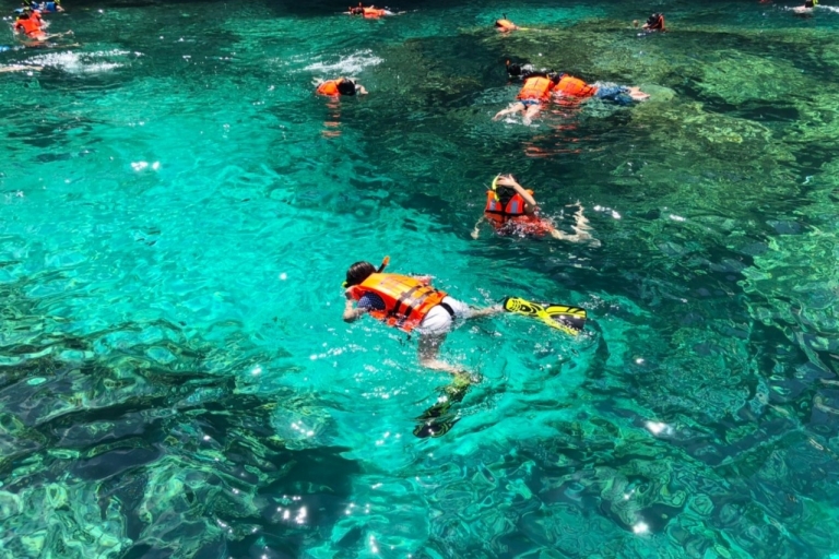 Khao Lak: Phi Phi Islands Snorkeling Day Trip by Speedboat