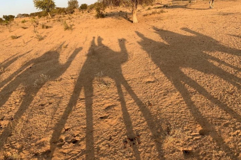 Jodhpur: tour privado de un día en la ciudad y safari en camello
