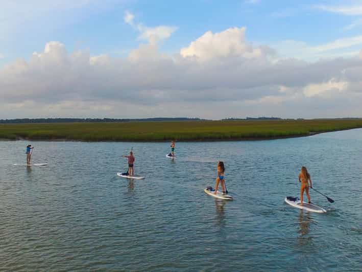 Charleston Folly Beach Stand Up Paddleboard 2 timers leje GetYourGuide