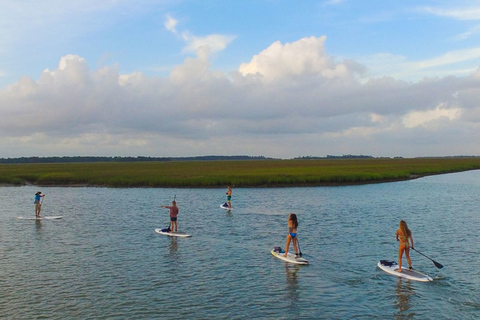 Charleston : Location de 2 heures de Stand Up Paddleboard à Folly BeachOption standard