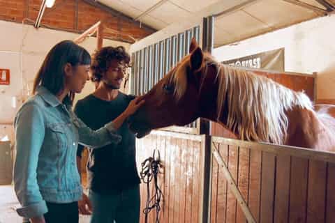 Cavalos e vinha - Andar a cavalo na Toscana