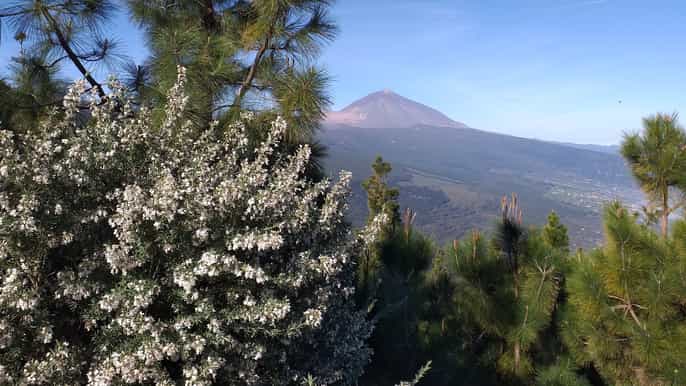 tenerife smallgroup total experience tour