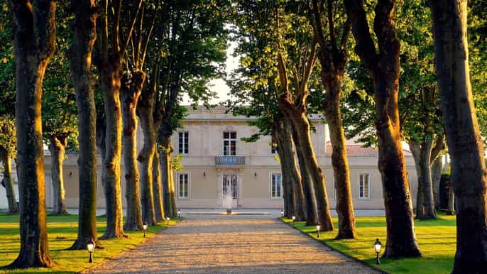 margaux guided winery tour with wine tasting