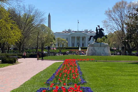 Washington DC: Tour a pie LGBTQWashington DC: Recorrido histórico por la experiencia LGBTQ