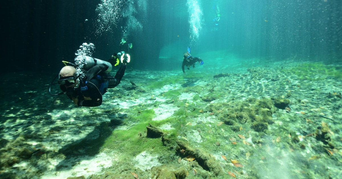 Tulum Scuba Diving In Cenotes Getyourguide 8478