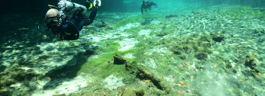 Tulum : Découvrez la plongée sous-marine dans les cénotes