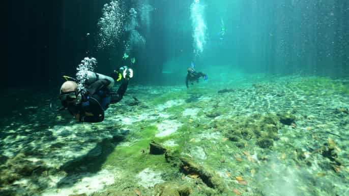 tulum plongée sousmarine dans les cenotes