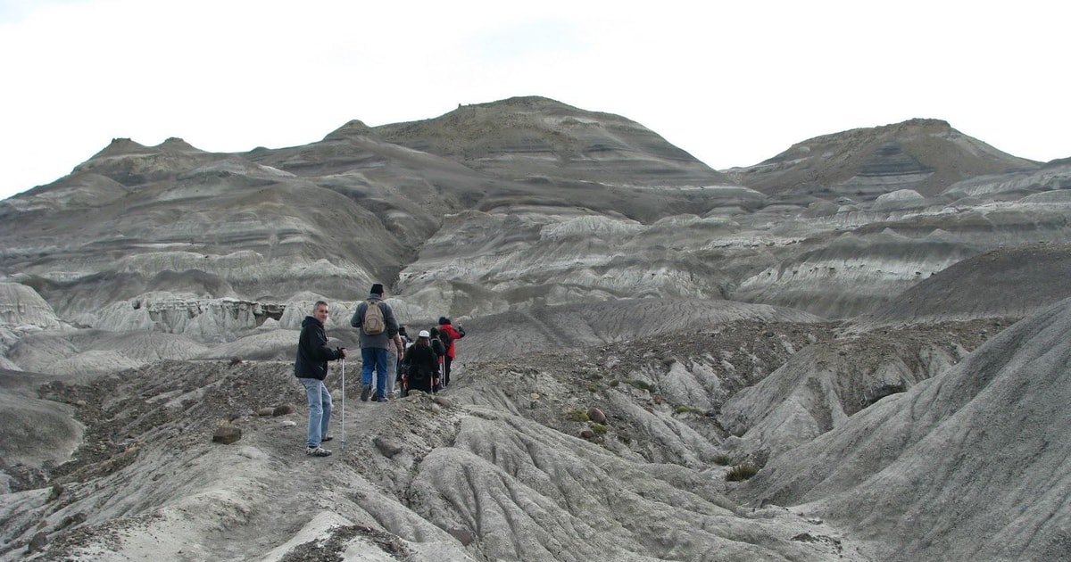 From El Calafate: La Leona Petrified Forest Tour | GetYourGuide