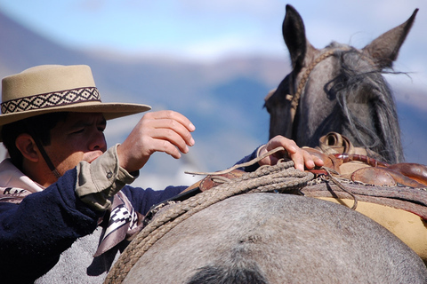 El Calafate: Nibepo Aike Ranch mit Reiten