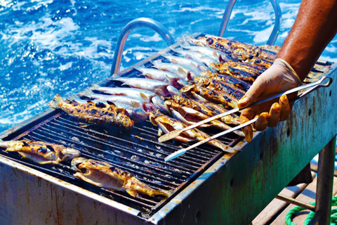 Vanuit Agadir of Taghazout: boottocht langs de kust &amp; lunchVertrek vanuit Agadir