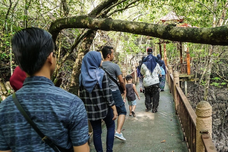 Langkawi : géoparc Mangrove Kilim et grotteExcursion avec prise en charge en dehors de la ville