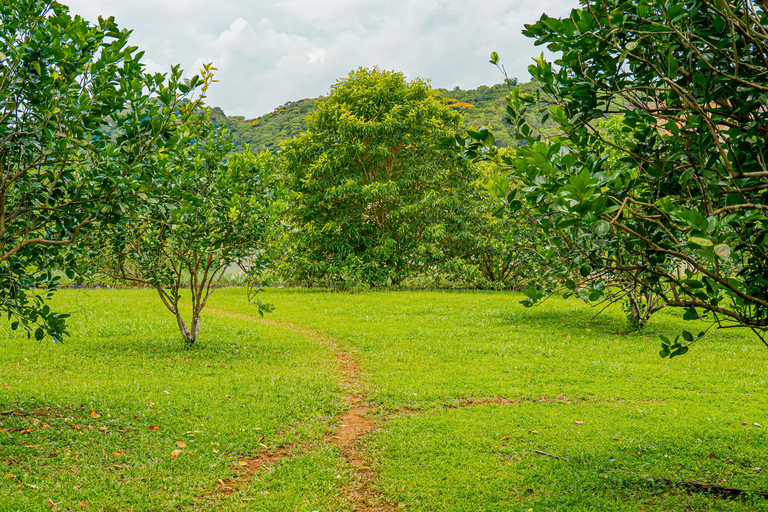 Panama: Rio Piedra Farm Entry Ticket and Hiking Trails