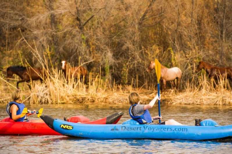 Phoenix e Scottsdale: tour in kayak del Lower Salt River