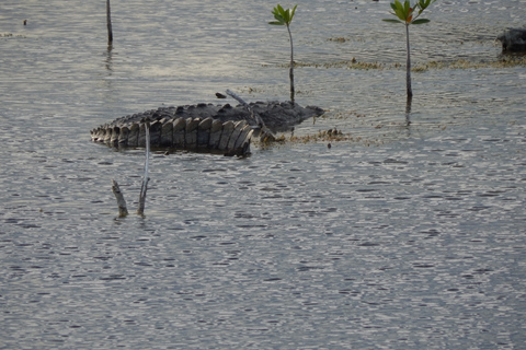 Isla Blanca: 4-Hour Private Expedition Bike &amp; Boat Tour