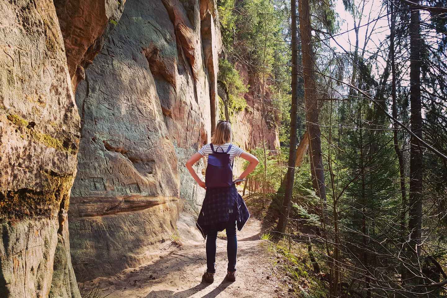 breathe in the fresh air at gauja national park