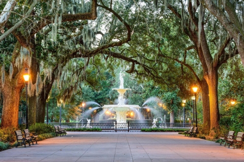 Savannah: historische panoramische stadstour