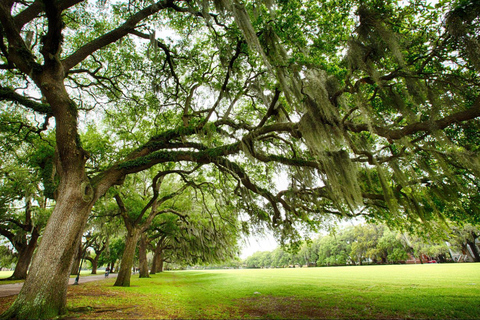 Savannah: croisière en bateau fluvial et tour de ville