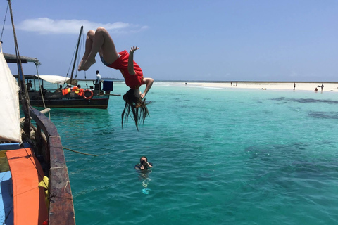 From Diani: Kenya's Ultimate Dolphin & Snorkeling Day Trip