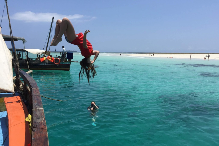 From Diani: Kenya's Ultimate Dolphin & Snorkeling Day Trip