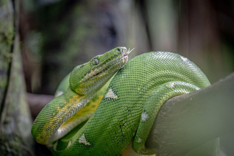 Cusco: 4-Day Manu National Park Tour