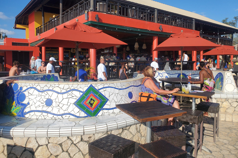 Negril: Prywatna wycieczka 7 Miles Beach &amp; Rick&#039;s Cafe Tour