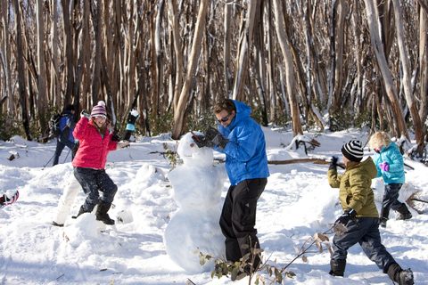 Melbourne: tour guidato sulla neve di Lake MountainMelbourne: Tour guidato sulla neve di Lake Mountain