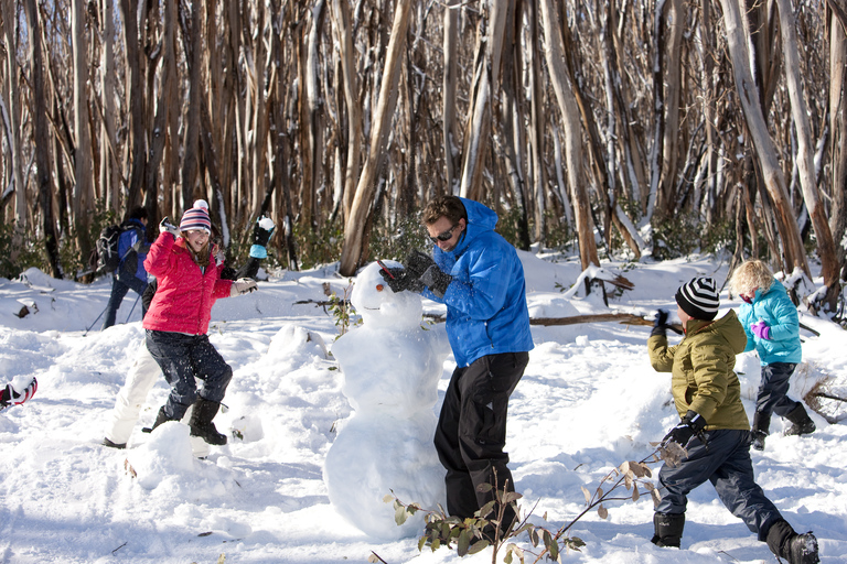 Melbourne: rondleiding Lake Mountain Snow met gidsMelbourne: Lake Mountain Sneeuw Rondleiding