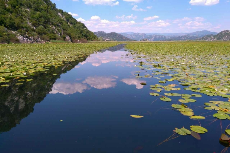 Kotor: Parque Nacional del Lago Skadar con Cata de Vinos(Copia de) Kotor: Parque Nacional del Lago Skadar con Cata de Vinos