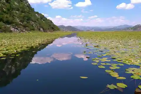 Kotor : Parc national du lac Skadar avec dégustation de vin