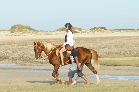 Djerba : 2 Hours Horse Riding in the Blue Lagoon