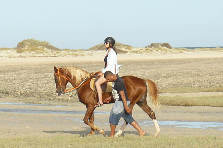 Djerba : 2 Hours Horse Riding in the Blue Lagoon