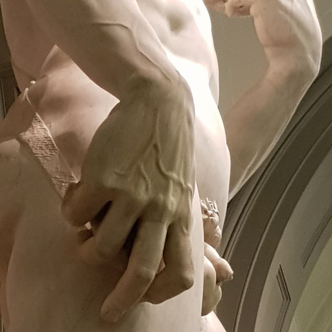 Galerie média