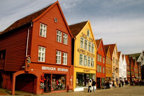 Tour a pie privado por BergenExcursión a la costa de Bergen: Paseo por Bergen