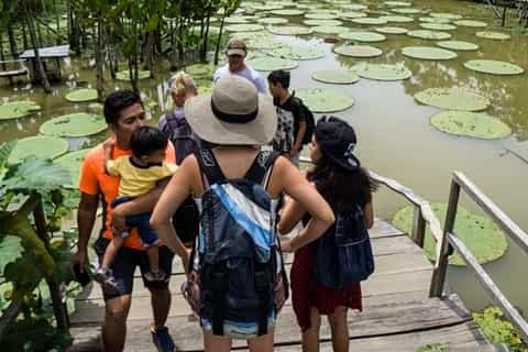 iquitos visite guidée de la faune merveilleuse de 6 heures