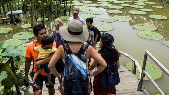 iquitos tour guiado de vida silvestre maravillosa de 6 horas
