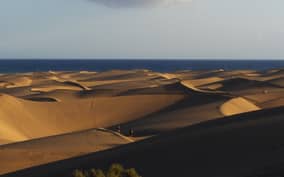  - Canarie.it