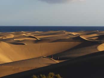 Maspalomas: 2-Seater Chopper E-Scooter Guided Tour