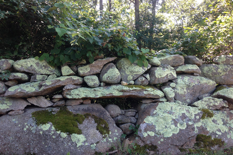 Martha's Vineyard: 6 Town Island Group Tour