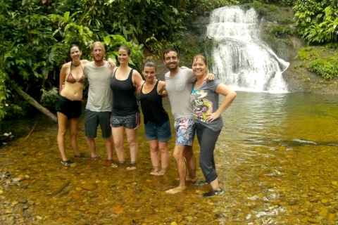 Rezerwat lasu deszczowego San Cipriano: Niesamowita jednodniowa wycieczka
