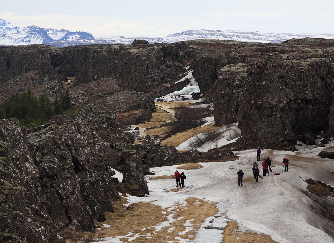 Reykjavik: Den gyldne cirkel og nordlys 4x4-tur