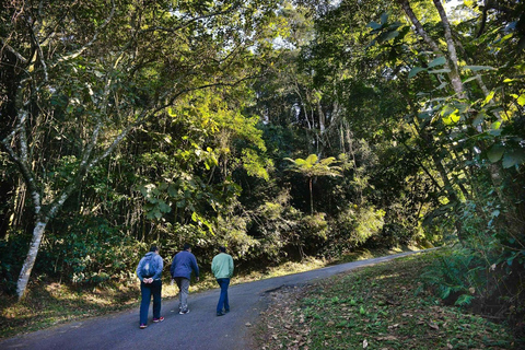 Ecotour privado de medio día en São Paulo