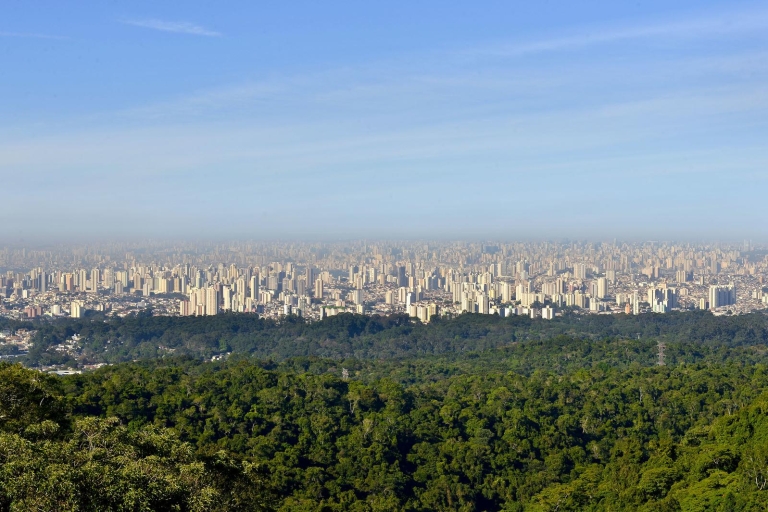 Ecotour privado de medio día en São Paulo